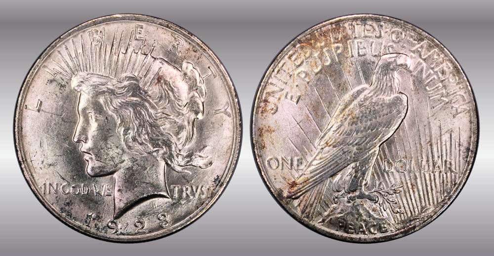 My-Raw-Peace-Dollar-Collection.-.-.-.-Warning!